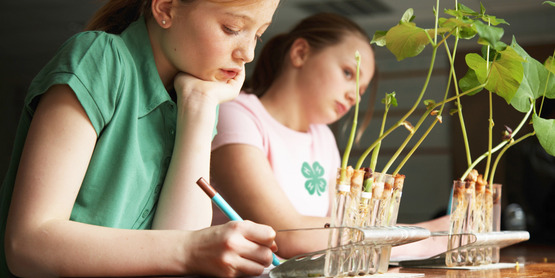 4-h afterschool science girls