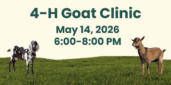 4-H Goat Clinic