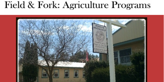 Field and Fork