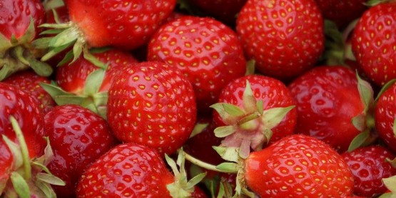 Strawberries