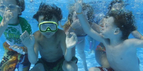 Cloverbuds underwater
