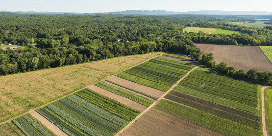 Land Owner Farm