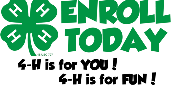 4-H enrollment night