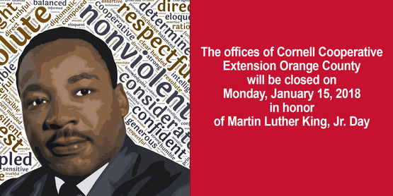 mlk closing