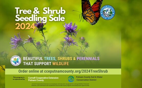 Cornell Cooperative Extension | Putnam County&rsquo;s Annual Tree and 