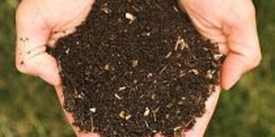 Soil in cupped hands