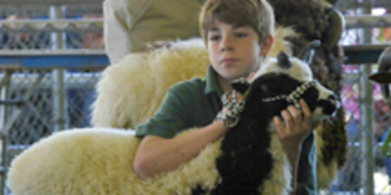 Youth Conservationist Program