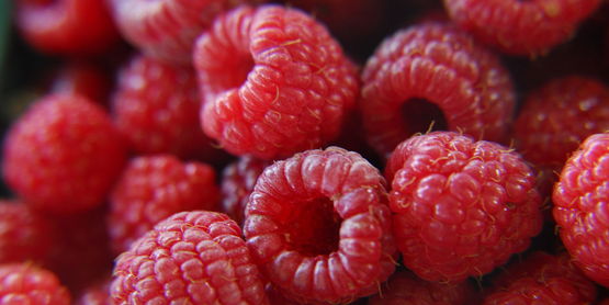 photo of fresh raspberries