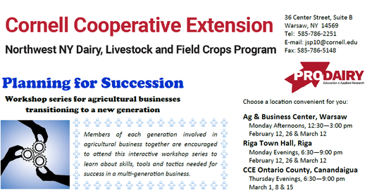 Succession Planning snapshot pics