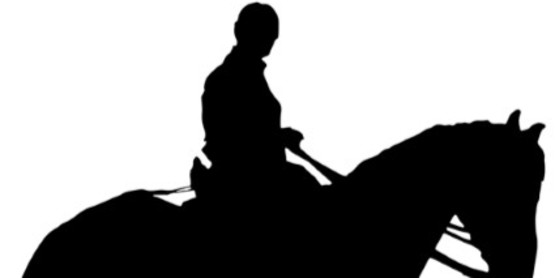 Equine2