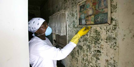 New Orleans resident searches for salvageable items in her home following Hurricane Katrina. Many homes were like this one with mold damage to the ceiling. 
mold
