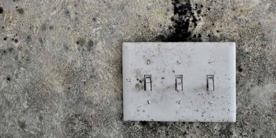  Mold grows above a switch plate in a flooded home