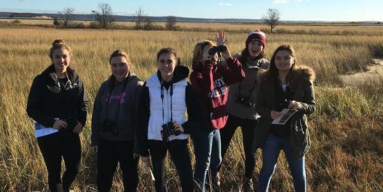 SAMC Shorebirds Exploration