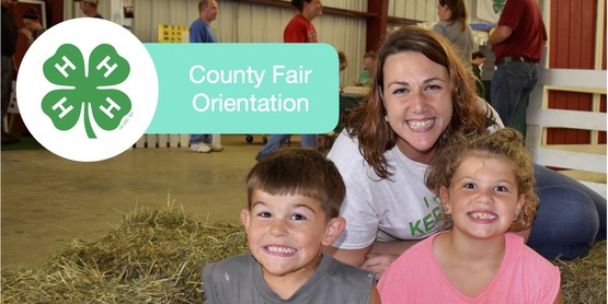 Fair Orientation