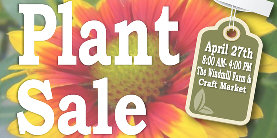 MG Plant Sale 2019