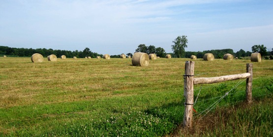 hay field in Ulysses NY