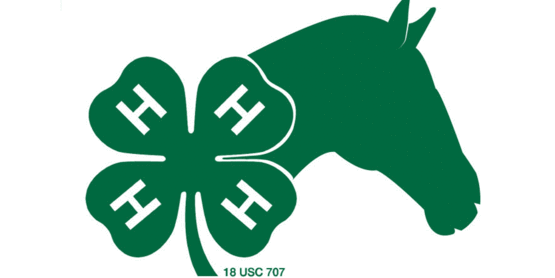4-H Horse graphic