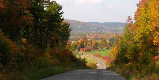 autumn landscape, Yates County NY