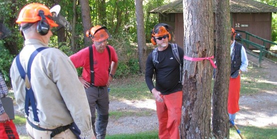 GAME OF LOGGING Chainsaw Safety Program