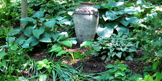 shade garden with urn and hostas, taken in Lansing NY on the 2013 Open Days Garden Tour