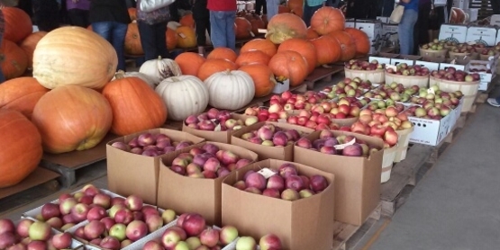 fall harvest