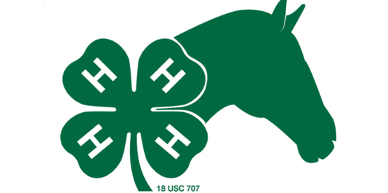 4-H Horse graphic