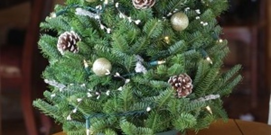 Tabletop Christmas Tree