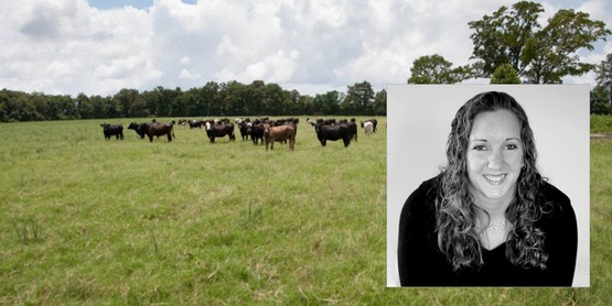 Mackenzie Waro for Finishing Cattle class 11/2018