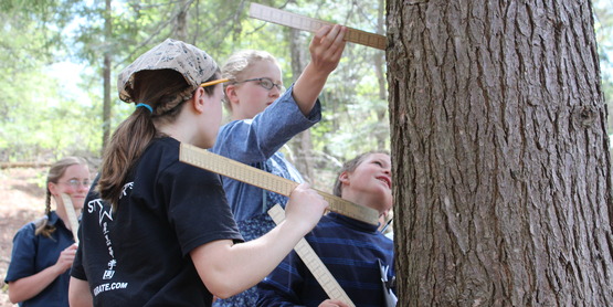 4-H Youth at 2017's Forestry Weekend.