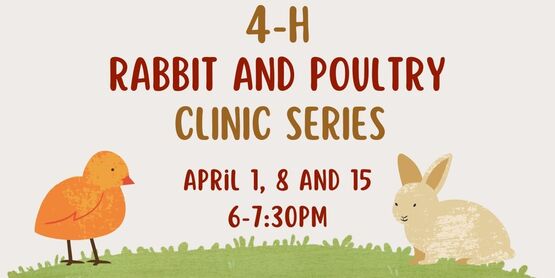 4-H Poultry and Rabbit Clinic