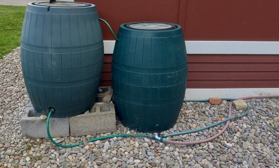 rain barrels