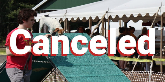 March Dog Madness Canceled