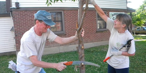 Tree Pruning