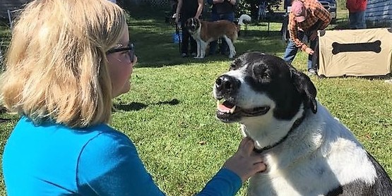 4-H Dog Program - Evelyn & Toby