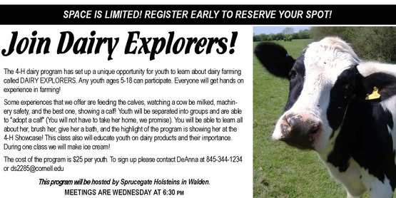 dairy explorers