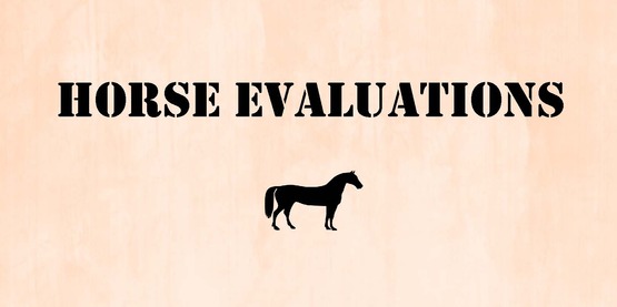 Horse Evaluations