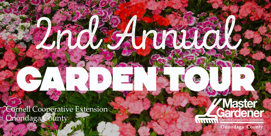 garden tour 2019