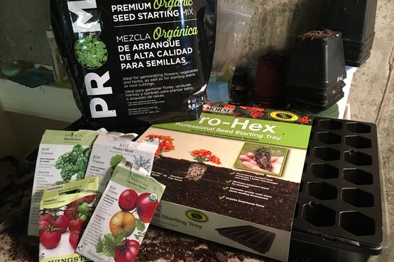 Seed starting supplies