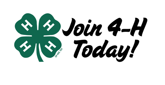 4-h