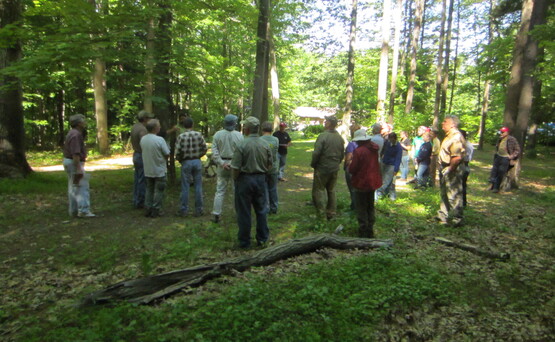 Master Forest Owners Woods Walk June 2014 Del Allen's