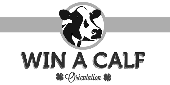 win a calf