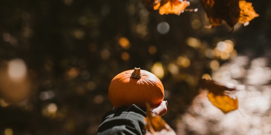 Photo of Person Holding a Pumpkin