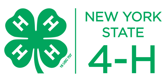 New York, 4H