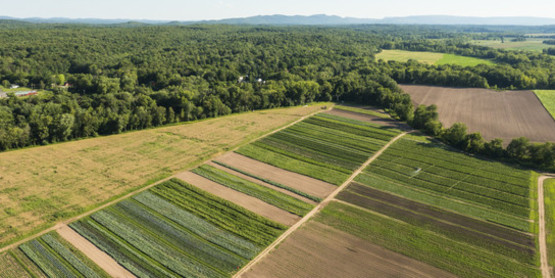 Land Owner Farm