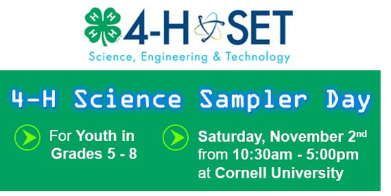 Science Sampler Day STEM