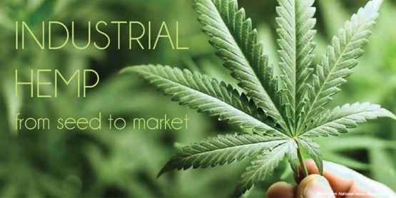cover of "Industrial Hemp from Seed to Market"