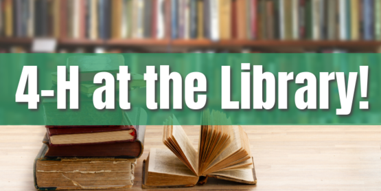 4-H at the Library Website Image