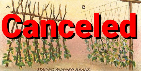 peateepee Canceled