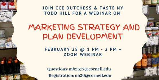 Marketing Strategy and Plan Development