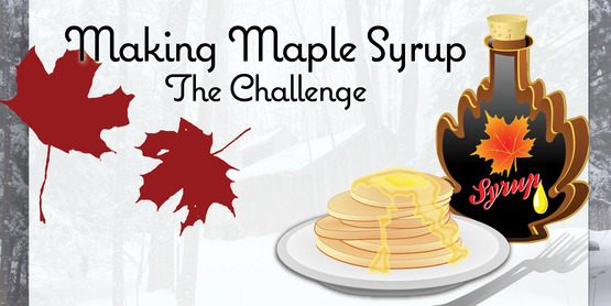 Making Maple Syrup: the Challenge